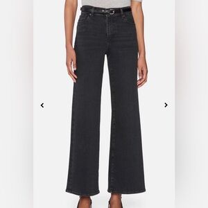 Frame Le Slim Palazzo Destroyer Wash